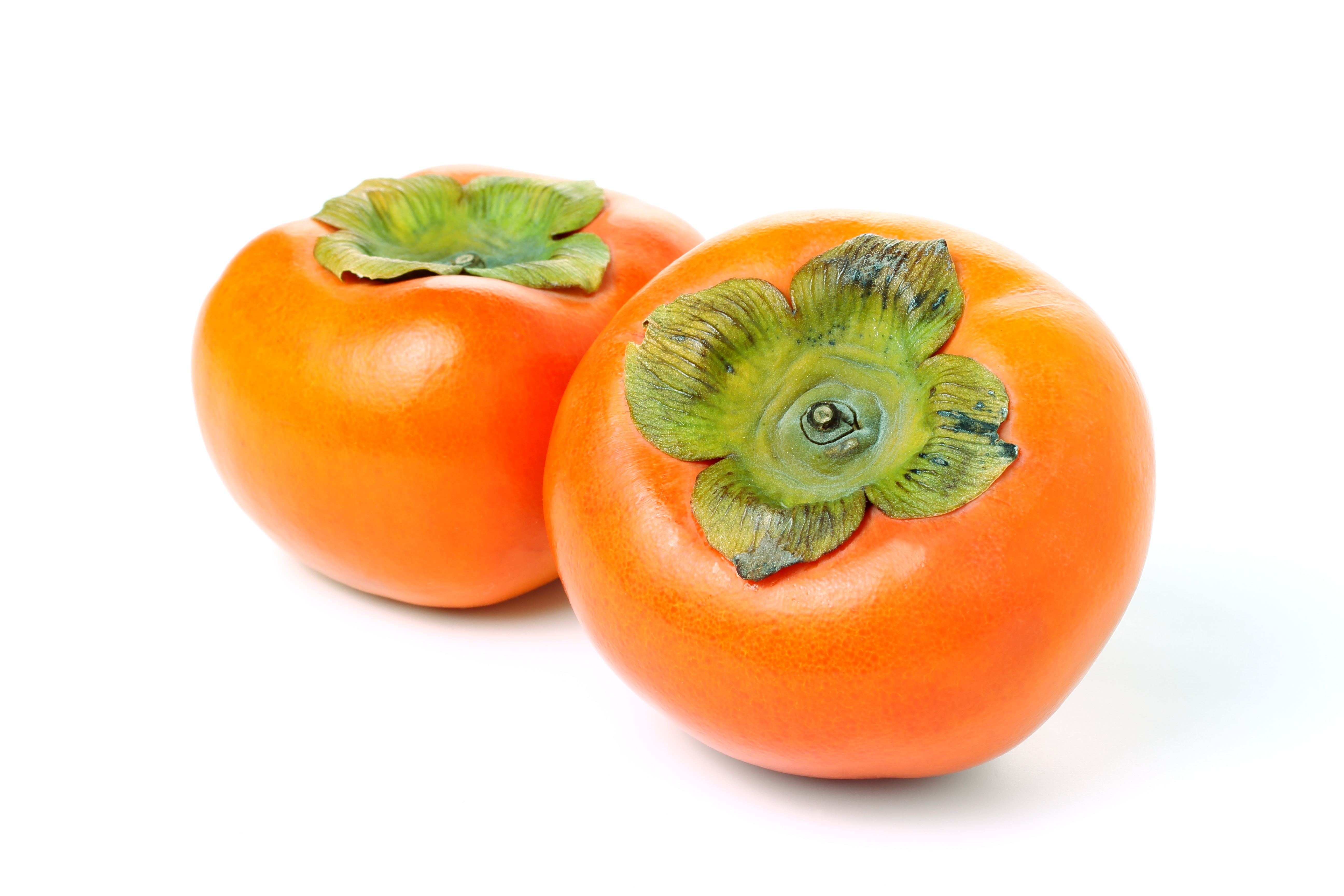 カキタンニン