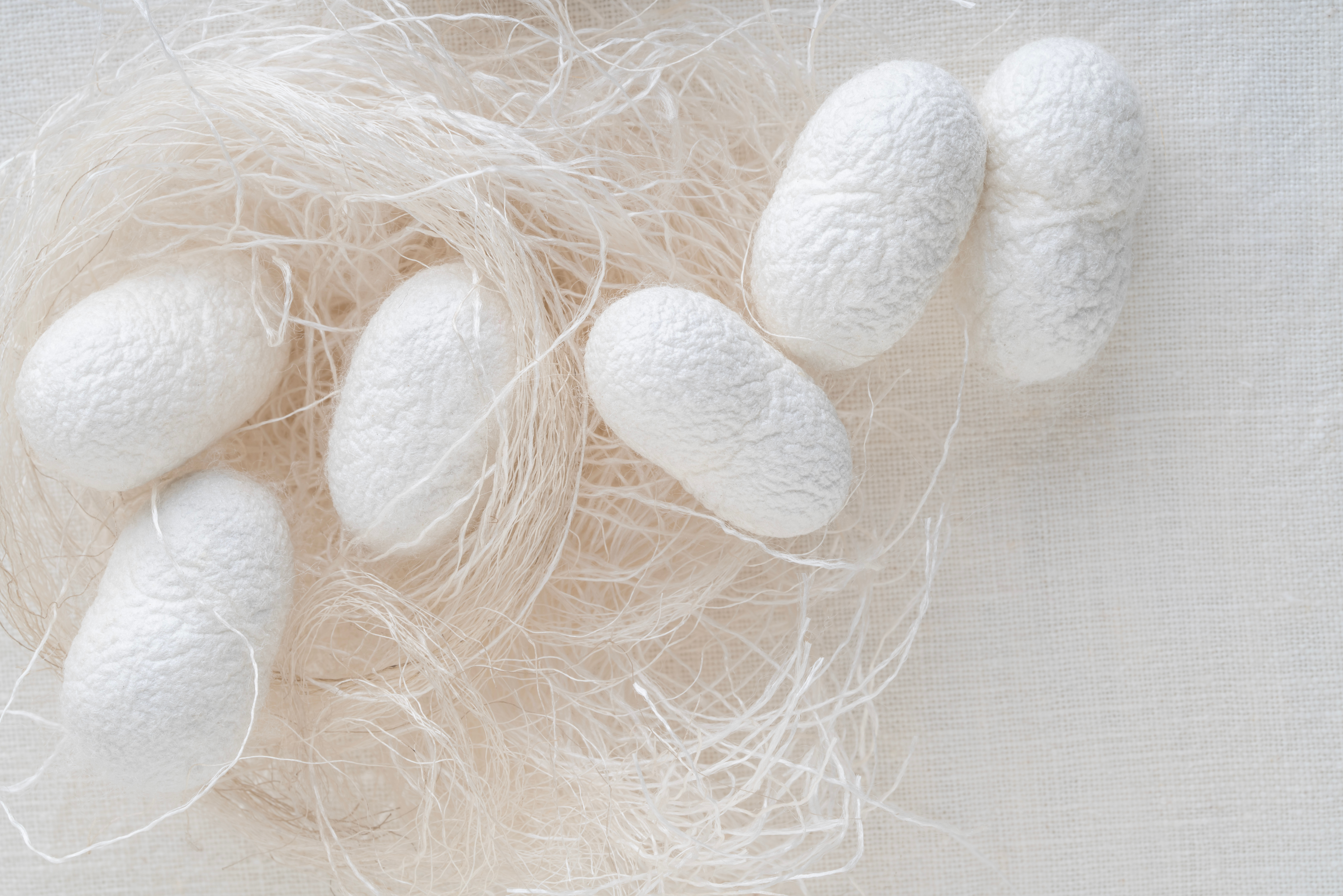 シリル化シルクPPT